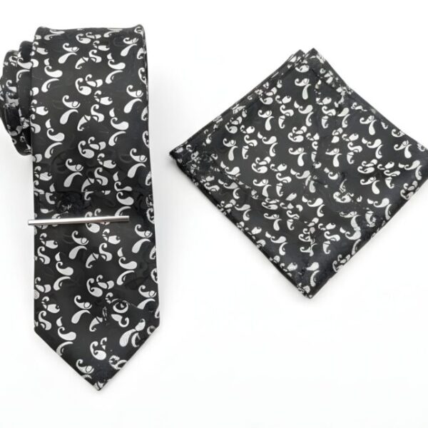 Elegant Black & Silver Paisley Tie Set
