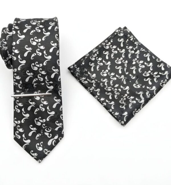 Elegant Black & Silver Paisley Tie Set