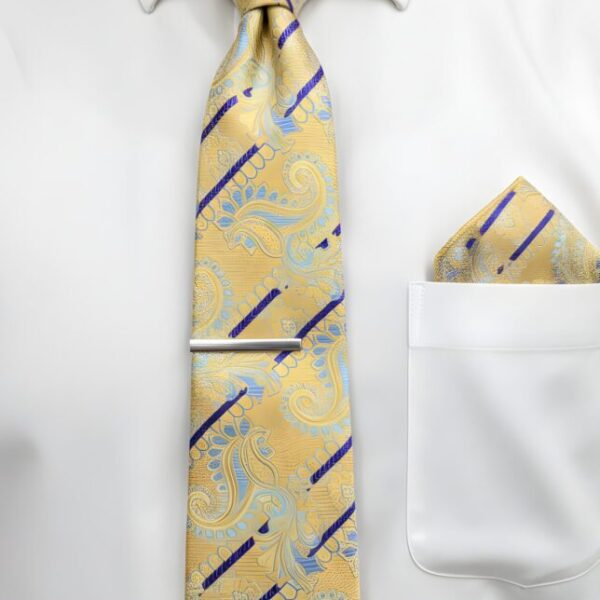 Gold Paisley and Blue Stripe Tie Set