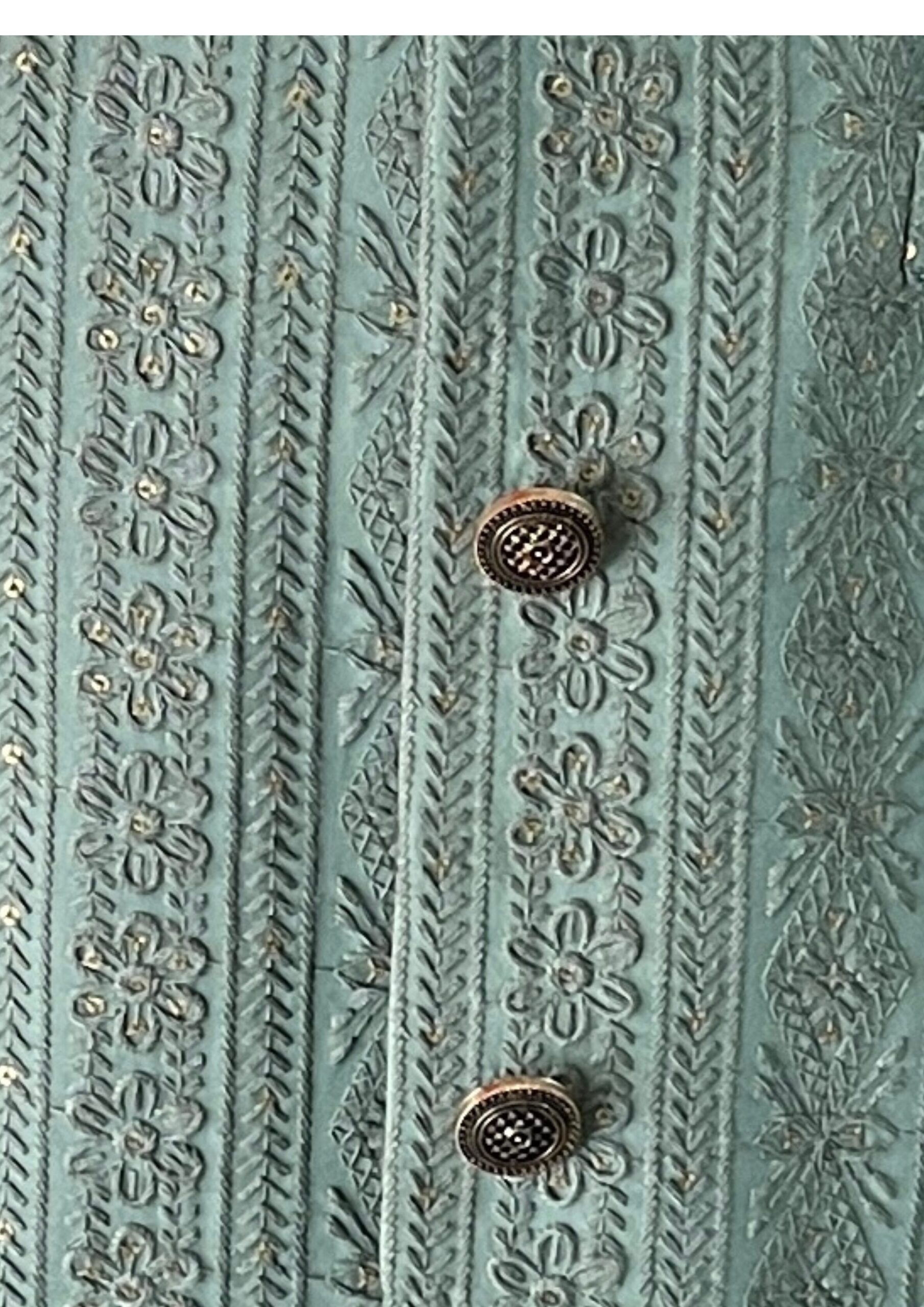 Majestic Sea-Green Vertical Vine-Embroidered Indo-Western - Image 5