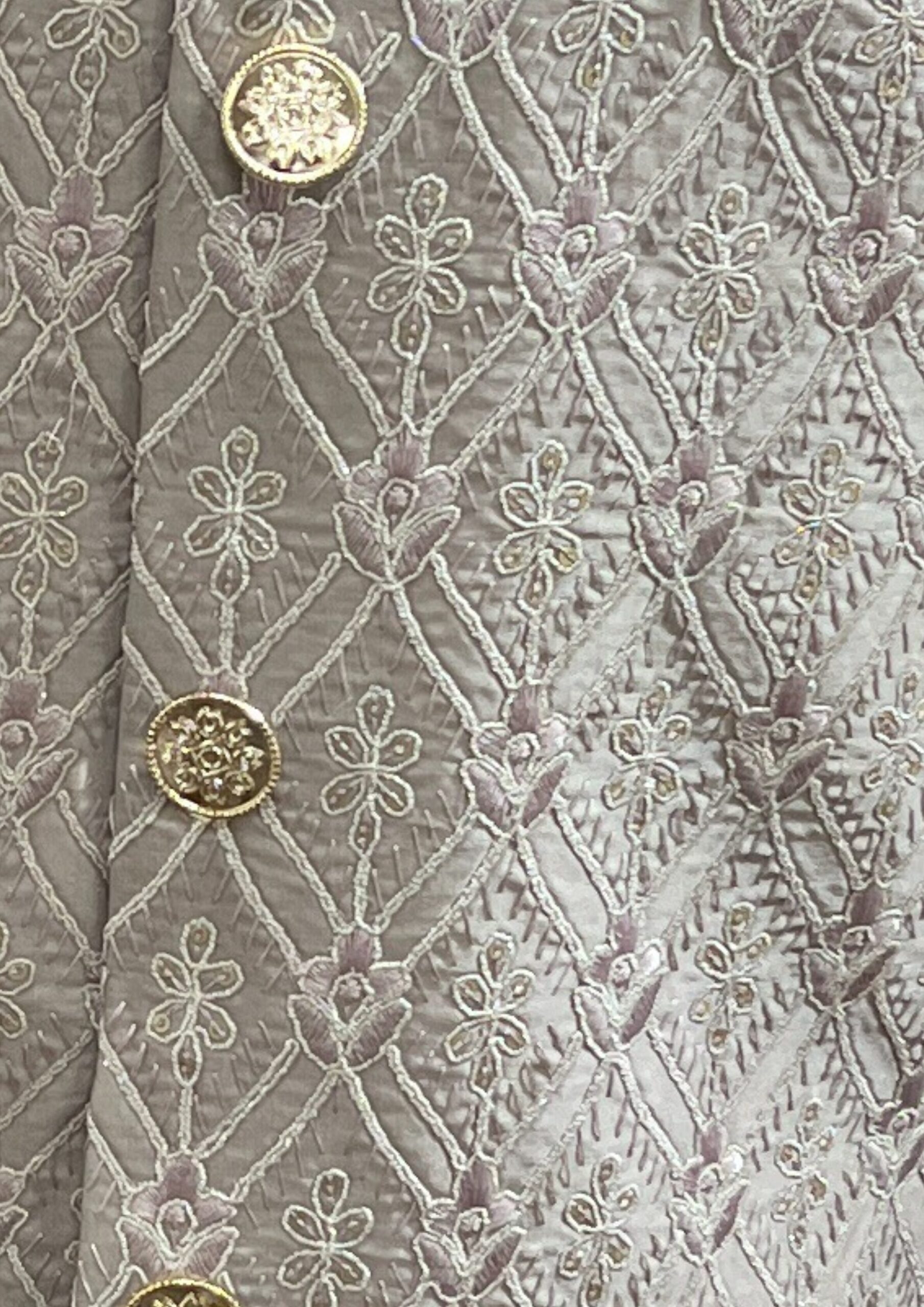 Imperial Champagne-Gold Ornate Lattice-Work Indo-Western - Image 5